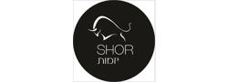 שור פיתוח בנדל"ן בע"מ